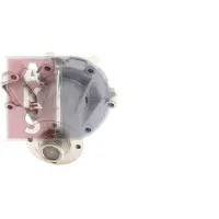 AKS Dasis Wasserpumpe 570400N