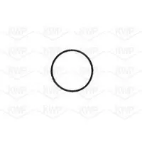 KWP Wasserpumpe 101155