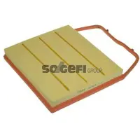 FRAM Luftfilter CA10676
