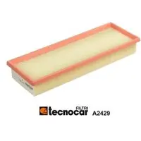 TECNOCAR Filter A2429