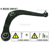 TRISCAN Lenker, Radaufhängung [Hersteller-Nr. 850028547] für Peugeot