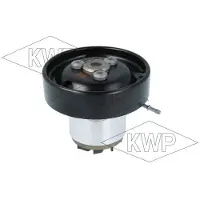 KWP Wasserpumpe 101479