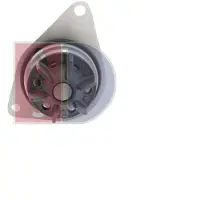 AKS Dasis Wasserpumpe 570112N