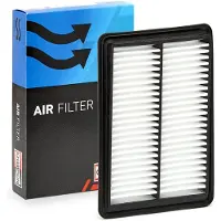 Champion Luftfilter CAF101264P