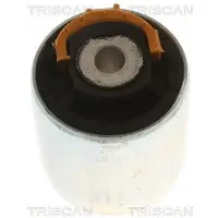 TRISCAN Lagerung, Lenker 8500 29846