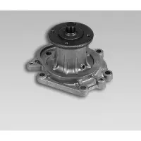 GK Wasserpumpe 981705