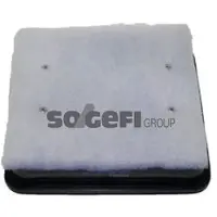 FRAM Luftfilter CA10355