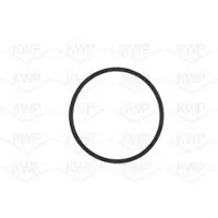 KWP Wasserpumpe 10953