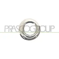 BLIC Rahmen Nebelscheinwerfer PG4221240 beidseitig passend für PEUGEOT 307 (3A/C) 1kg