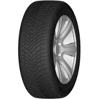 Double Coin Ganzjahresreifen motorcycle-tyres DASP + ( 215/55 R16 97V XL )