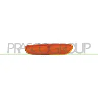 PRASCO Blinkleuchte VV0284303
