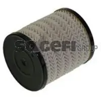 FRAM Kraftstofffilter C11061ECO