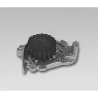 GK Wasserpumpe 981739