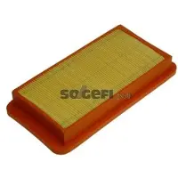 FRAM Luftfilter CA6394