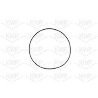 KWP Wasserpumpe 10528