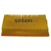 FRAM Luftfilter CA5829