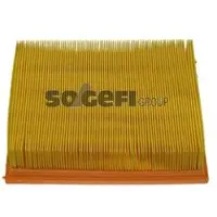 FRAM Luftfilter CA5891