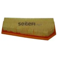 FRAM Luftfilter CA10878