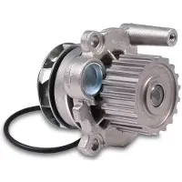 GK Wasserpumpe 980133