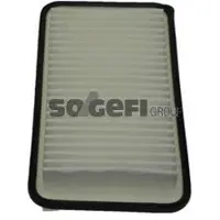 FRAM Luftfilter CA9849