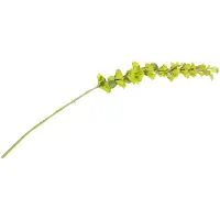 Coco Maison Molucella Spray H105cm Kunstblume