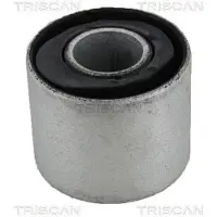 TRISCAN Lagerung, Lenker 8500 23867
