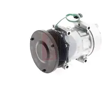 AKS Dasis Kompressor, Klimaanlage 851729N