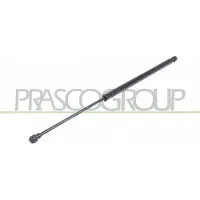 PRASCO Gasfeder, Koffer-/Laderaum DS7109055