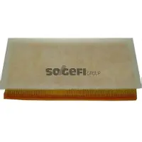 FRAM Luftfilter CA9424