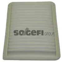 FRAM Luftfilter CA9894