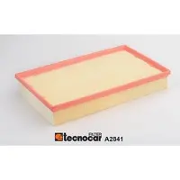 TECNOCAR Luftfilter A2841