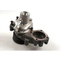 GK Wasserpumpe 985237