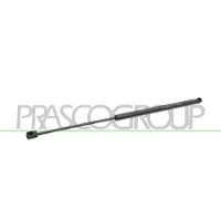 PRASCO Gasfeder, Koffer-/Laderaum FD4249055