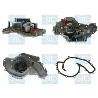 Saleri SIL Wasserpumpe PA1609