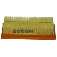 FRAM Luftfilter CA5518