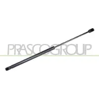 PRASCO Gasfeder, Koffer-/Laderaum FD4269055