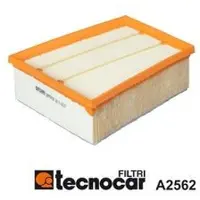 TECNOCAR Filter A2562