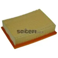 COOPERSFIAAM FILTERS Luftfilter [Hersteller-Nr. C25114] für BMW, Wiesmann, Alpina