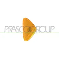 PRASCO Blinkleuchte FT9204139