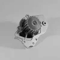 GK Wasserpumpe 986815