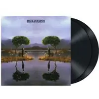 Universal Music - Skunkworks (LP)