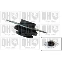 Quinton Hazell Motorlager Gummimetalllager für RENAULT ESPACE IV (JK0/1) EM4302