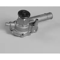 GK Wasserpumpe 981717