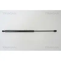 TRISCAN Gasfeder, Koffer-/Laderaum 8710 43217