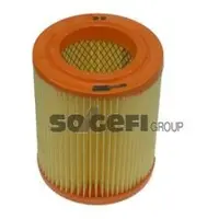 FRAM Luftfilter CA9493