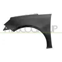 PRASCO Kotflügel pg4283014 vorne links für Peugeot