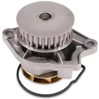 GK Wasserpumpe 980137