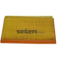 FRAM Luftfilter CA9415