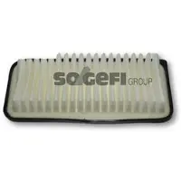 FRAM Luftfilter CA9482