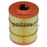 FRAM Luftfilter CA11064